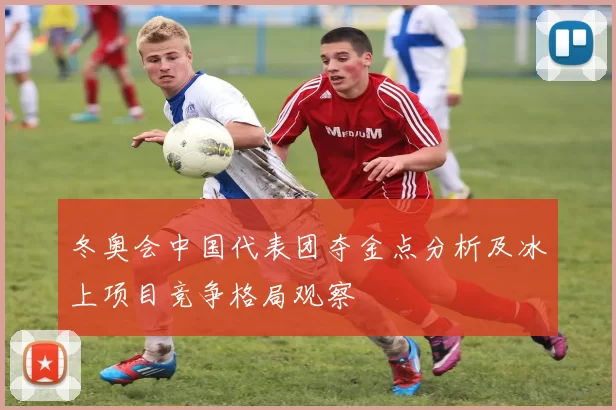 冬奥会中国代表团夺金点分析及冰上项目竞争格局观察