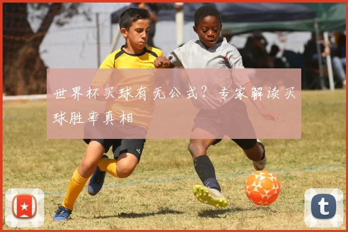 世界杯买球有无公式?专家解读买球胜率真相