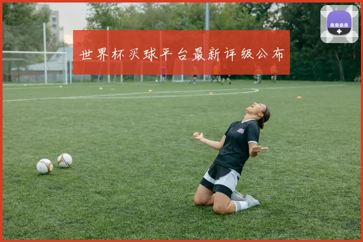 世界杯买球平台最新评级公布