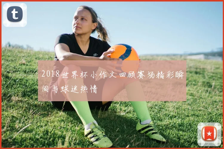 2018世界杯小作文回顾赛场精彩瞬间与球迷热情